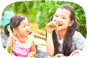 農業と食の大切さを伝える