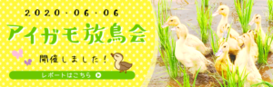 アイガモ放鳥会バナー
