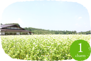 蕎麦畑と長生庵