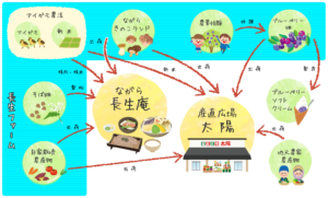 ながら太陽ファームのしくみ