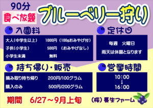 ブルーベリー狩り料金表